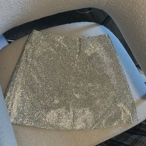 One Last Time Mini Skirt XS/S Silver White Fox